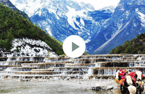 2017年CMD368体育科技团建-云南之旅