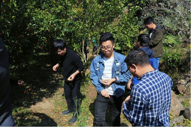 CMD368体育·(中国区)官方网站