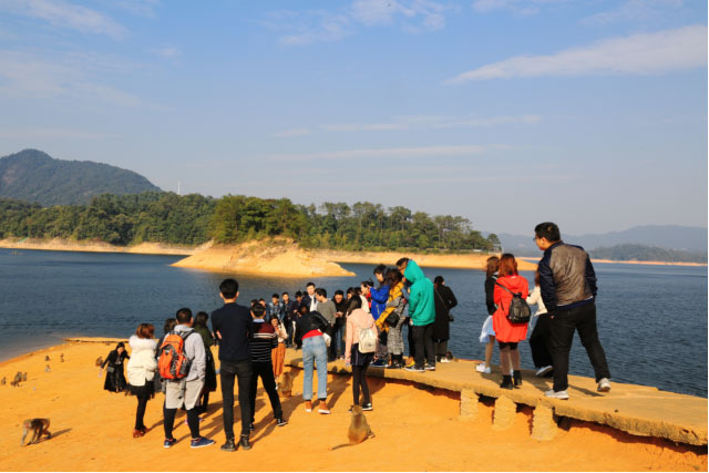 CMD368体育·(中国区)官方网站